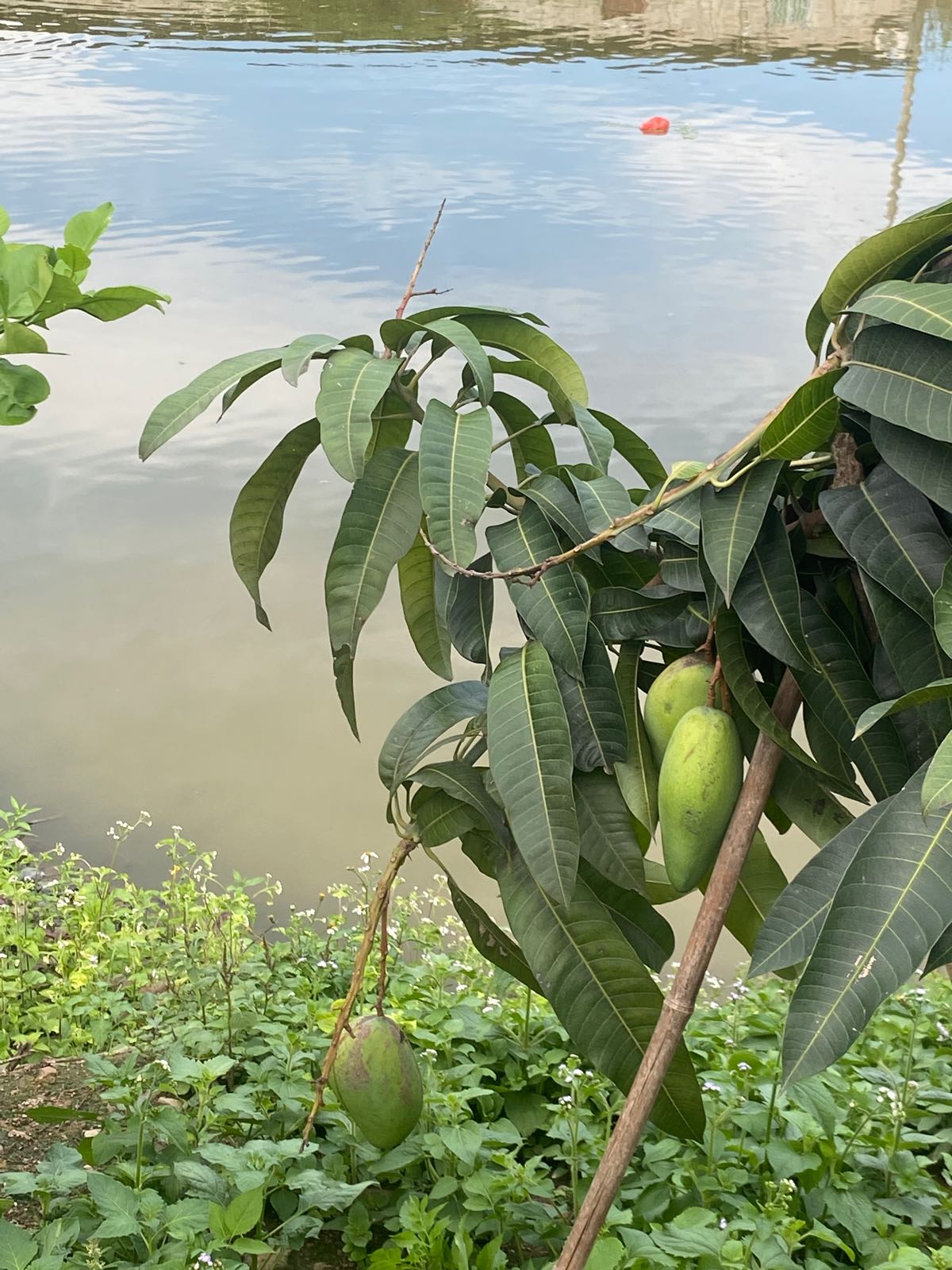 那聊专业合作社