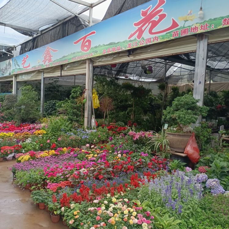 艺鑫百花