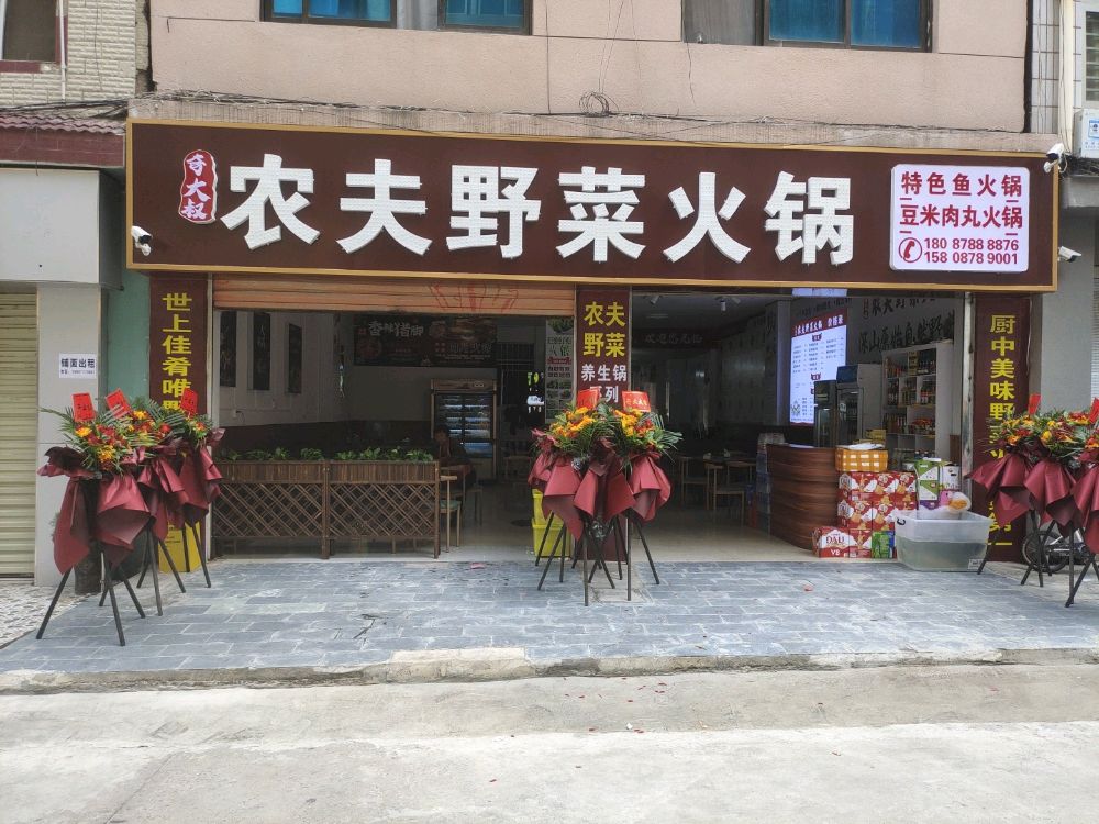 奇大叔农夫野菜火锅