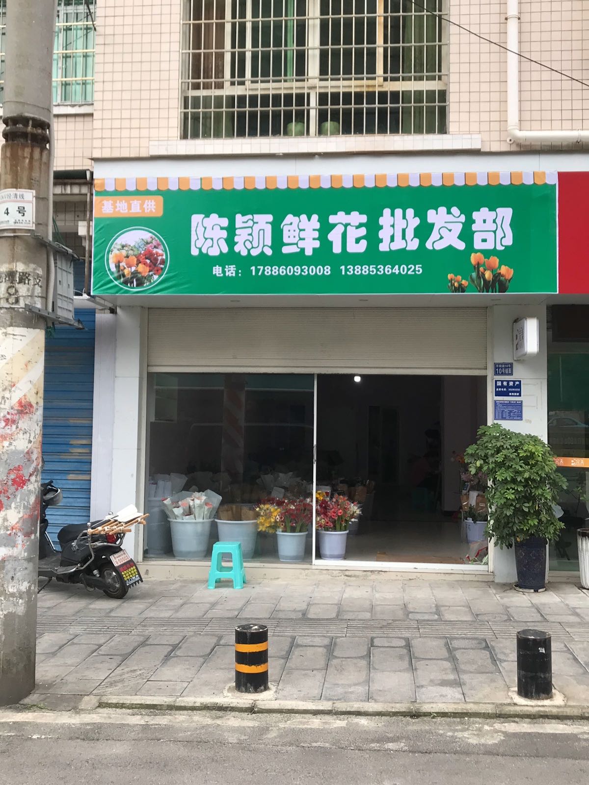 陈颖鲜花批发部