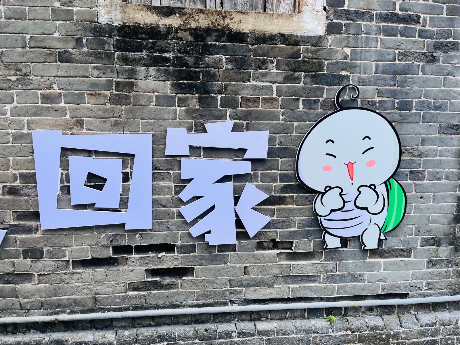 荔枝小悟龟书吧