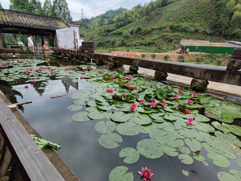 黄山麟圣博物馆