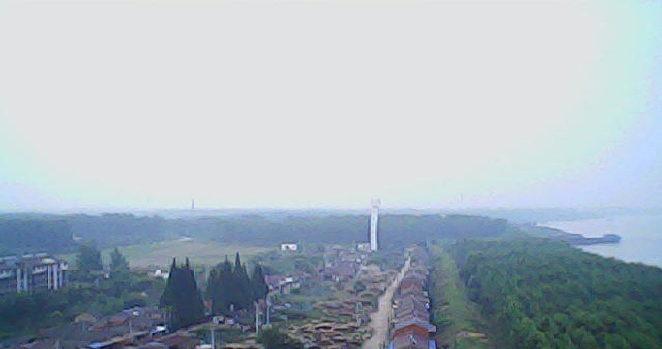 安徽省刘渡木材市场