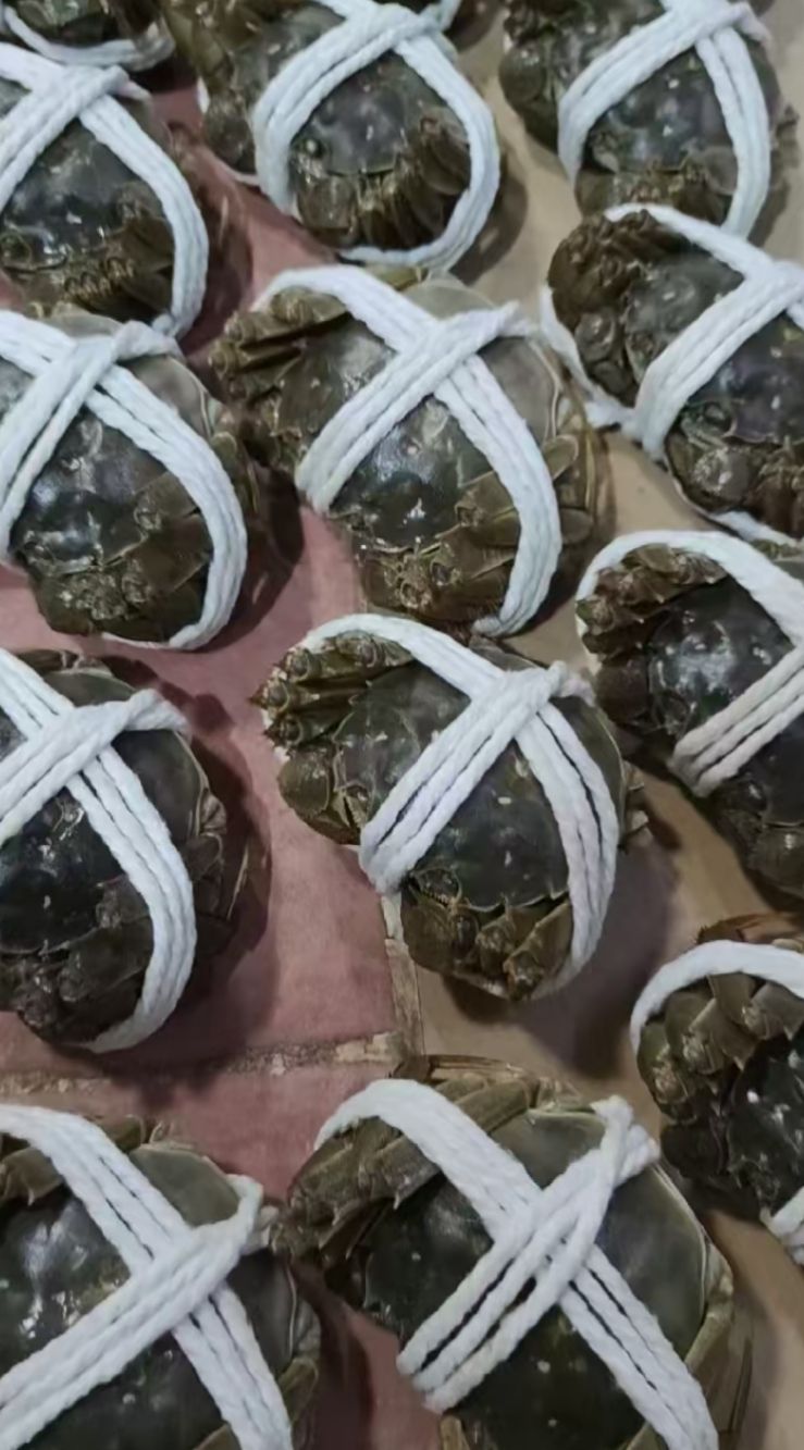 杰记水产