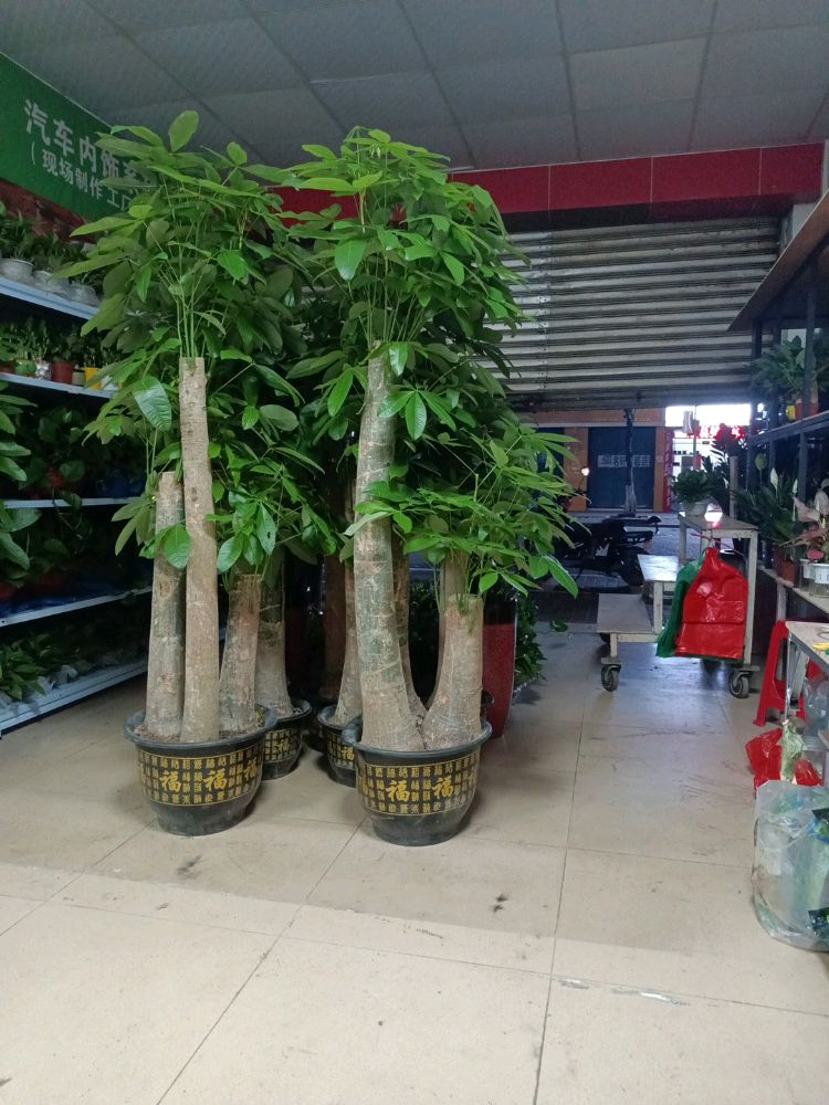 芯芯花店