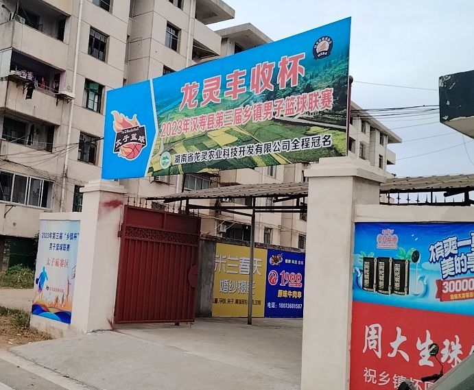 太子篮球