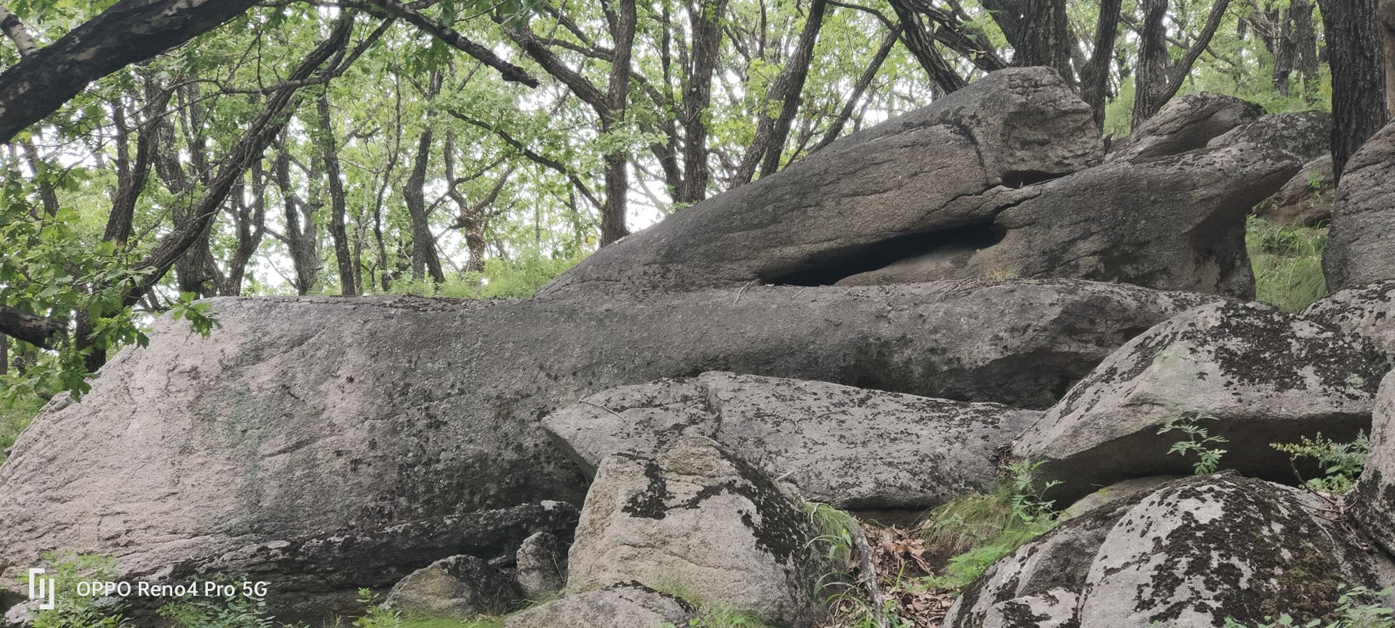 鸡西市梨树区明泉山庄