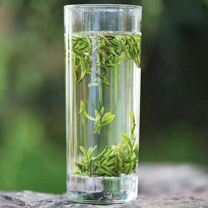 钱庐茶业