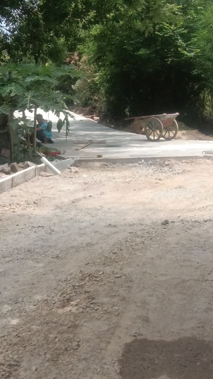 东风组