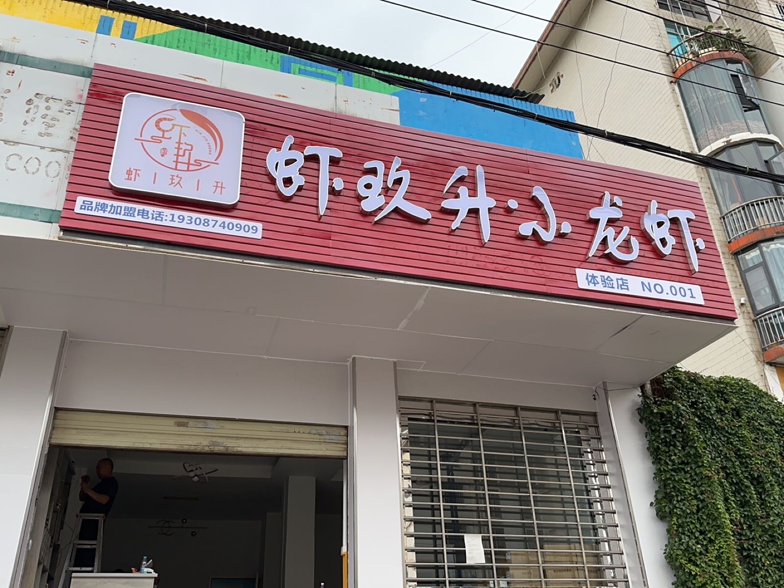 虾芗玖阝·小升龙虾