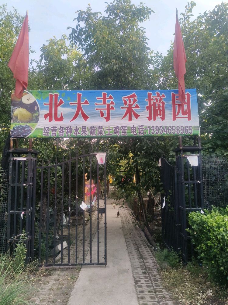 晋祠北大寺采摘园