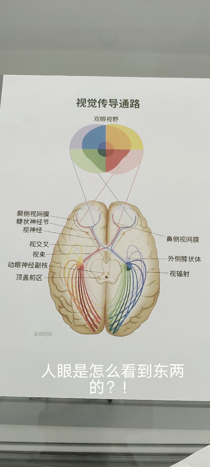 舒目眼镜