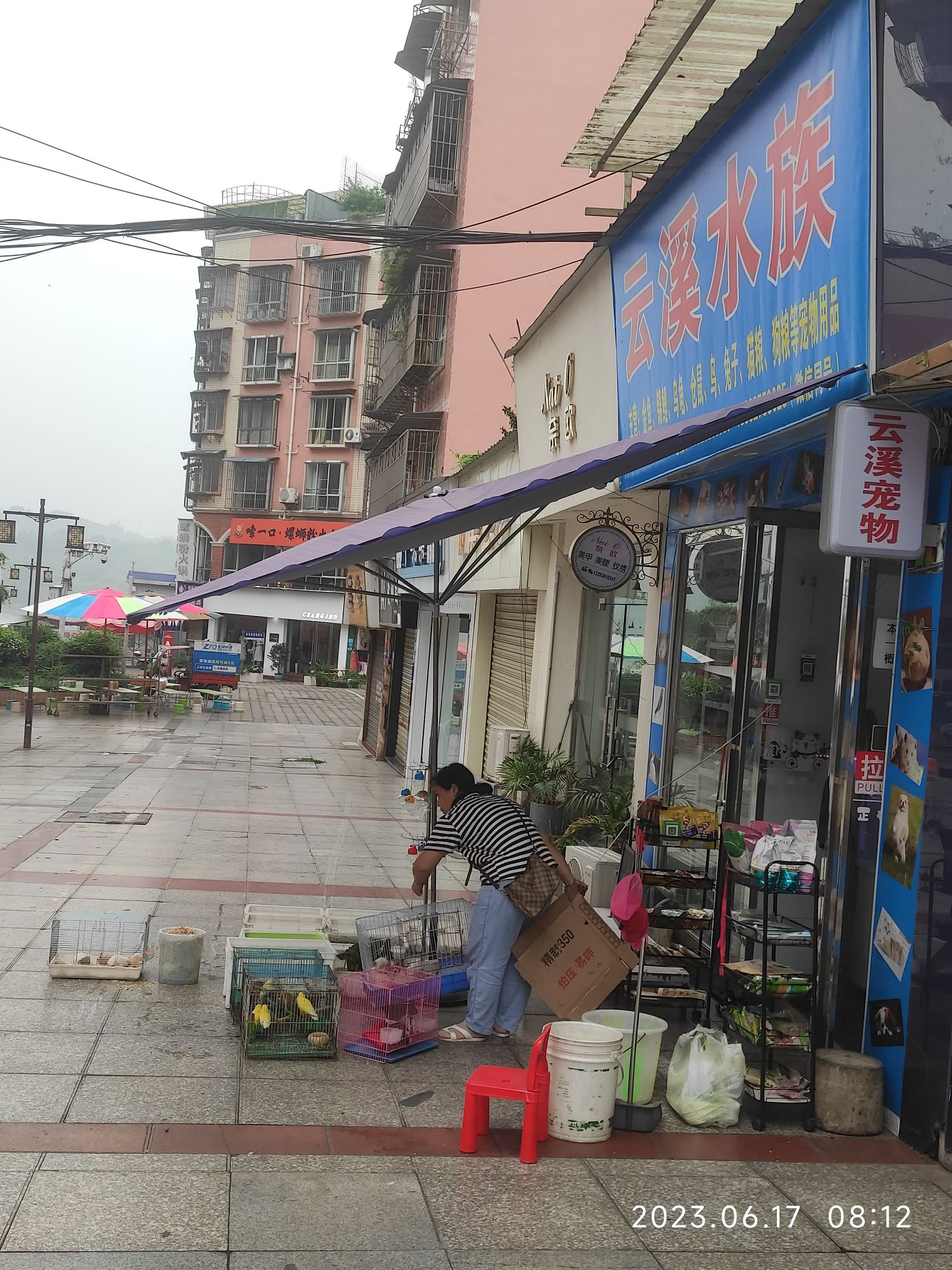 云溪水族