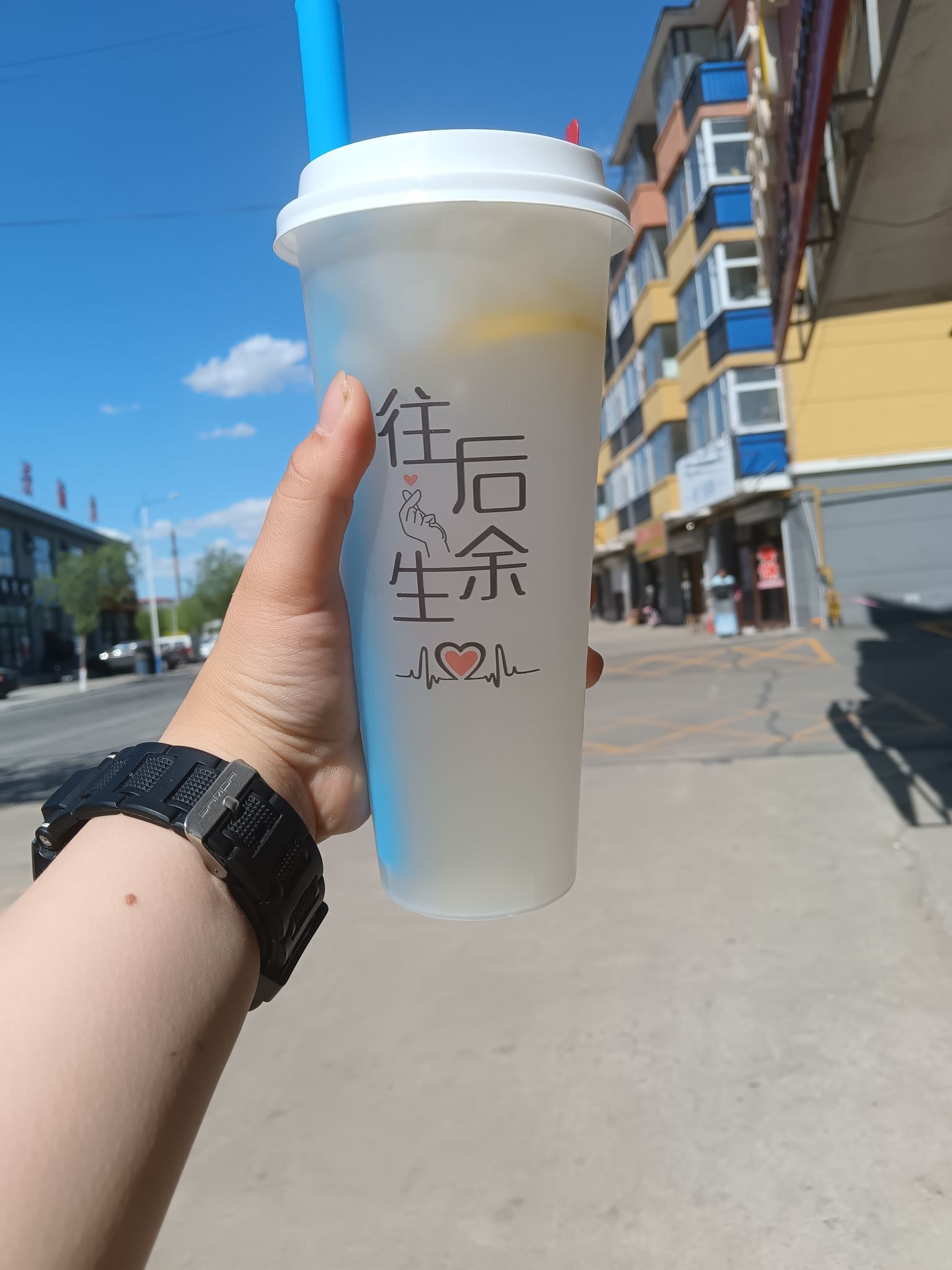 大岗子镇