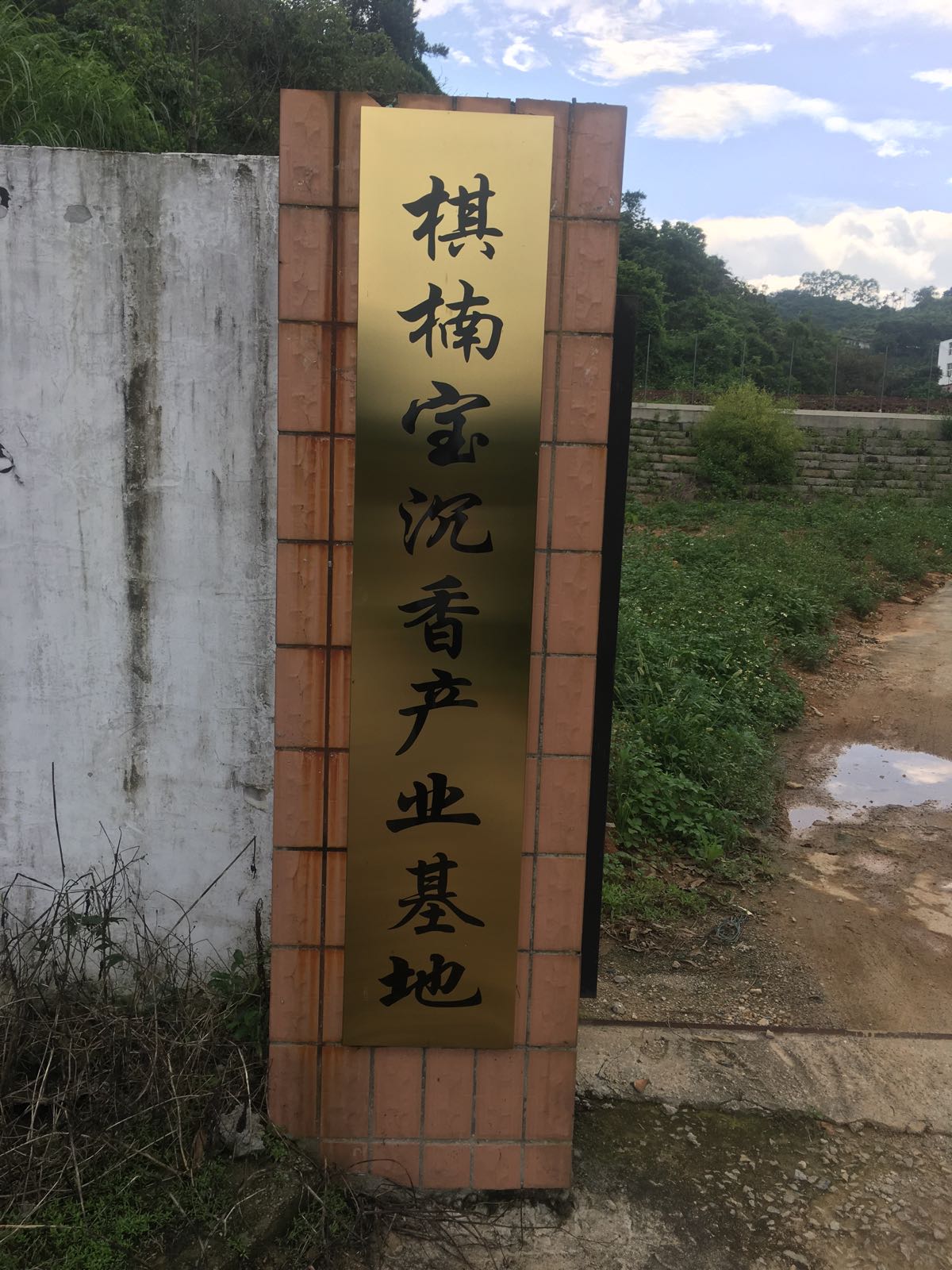 棋楠宝沉香产业基地