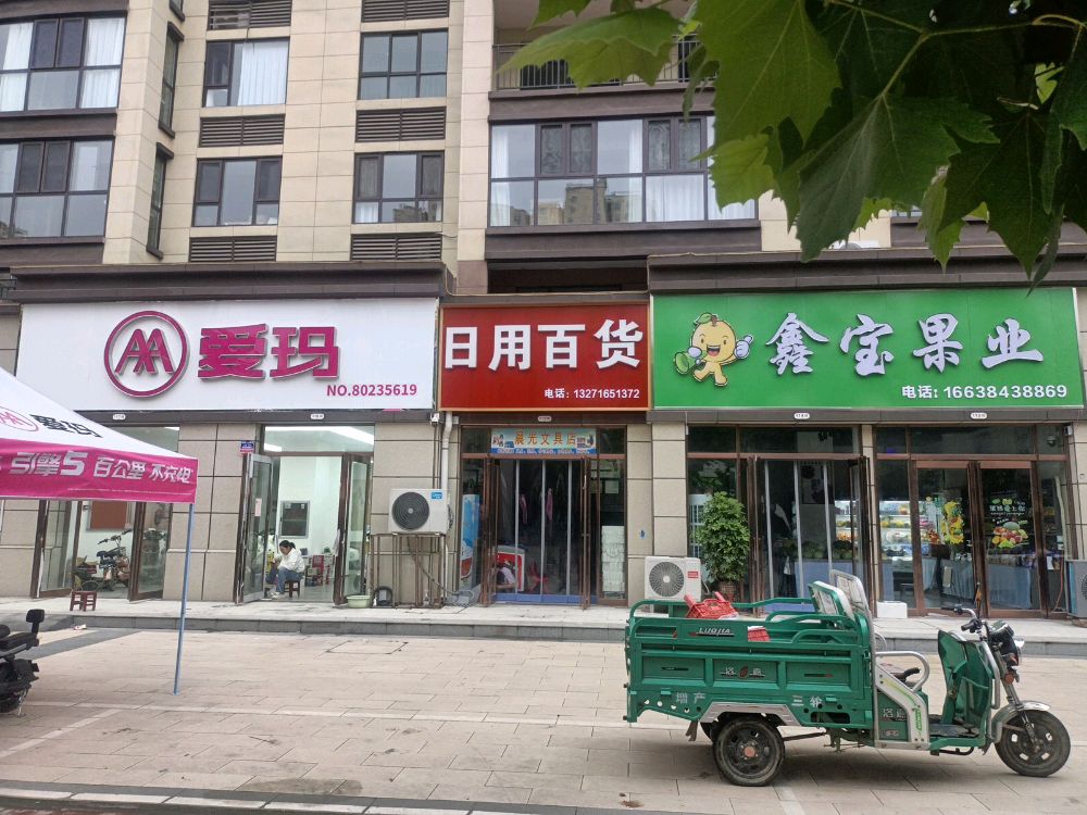 鹿邑县鹿邑爱玛电动车西关店(宋河大道店)