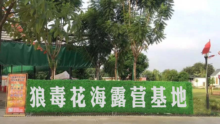 花嗨毒桓卯营狼露基地