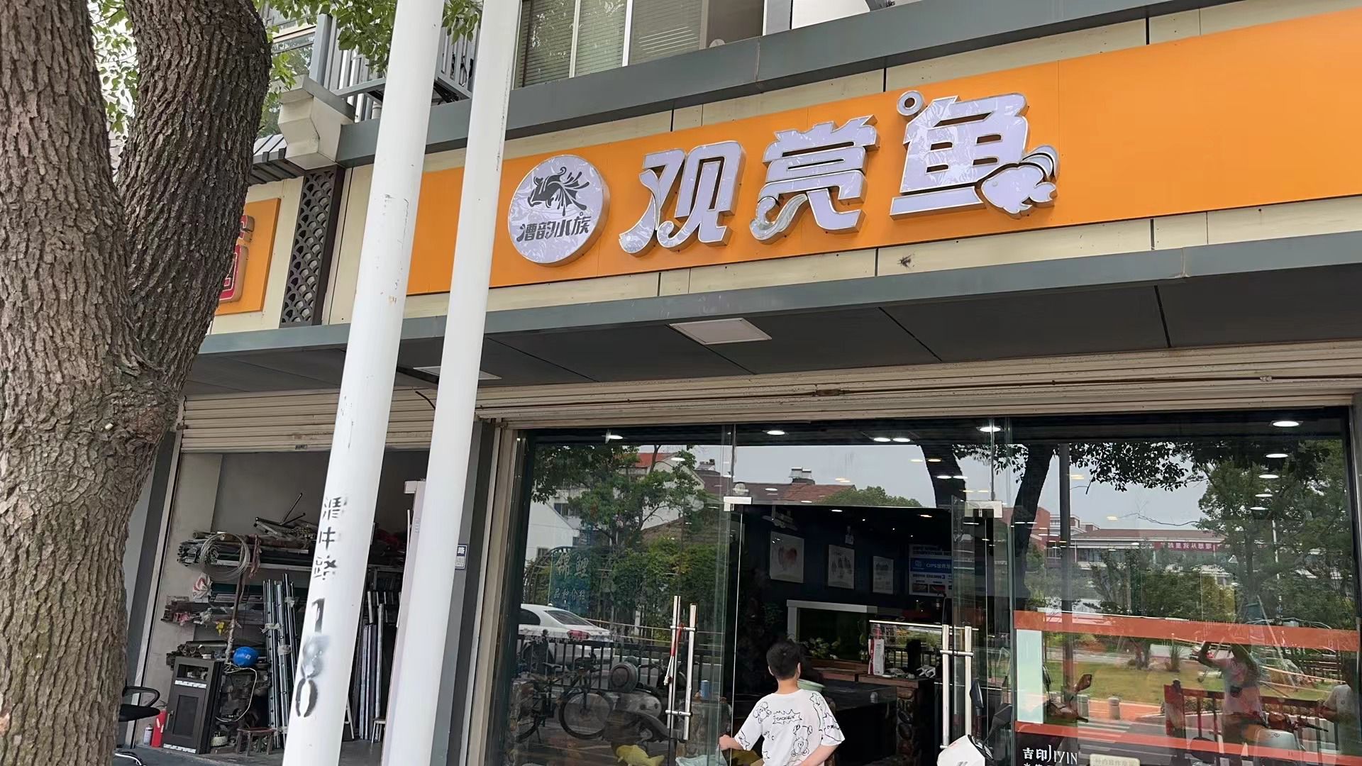 苏州观赏鱼(漕韵水族渭中路店)