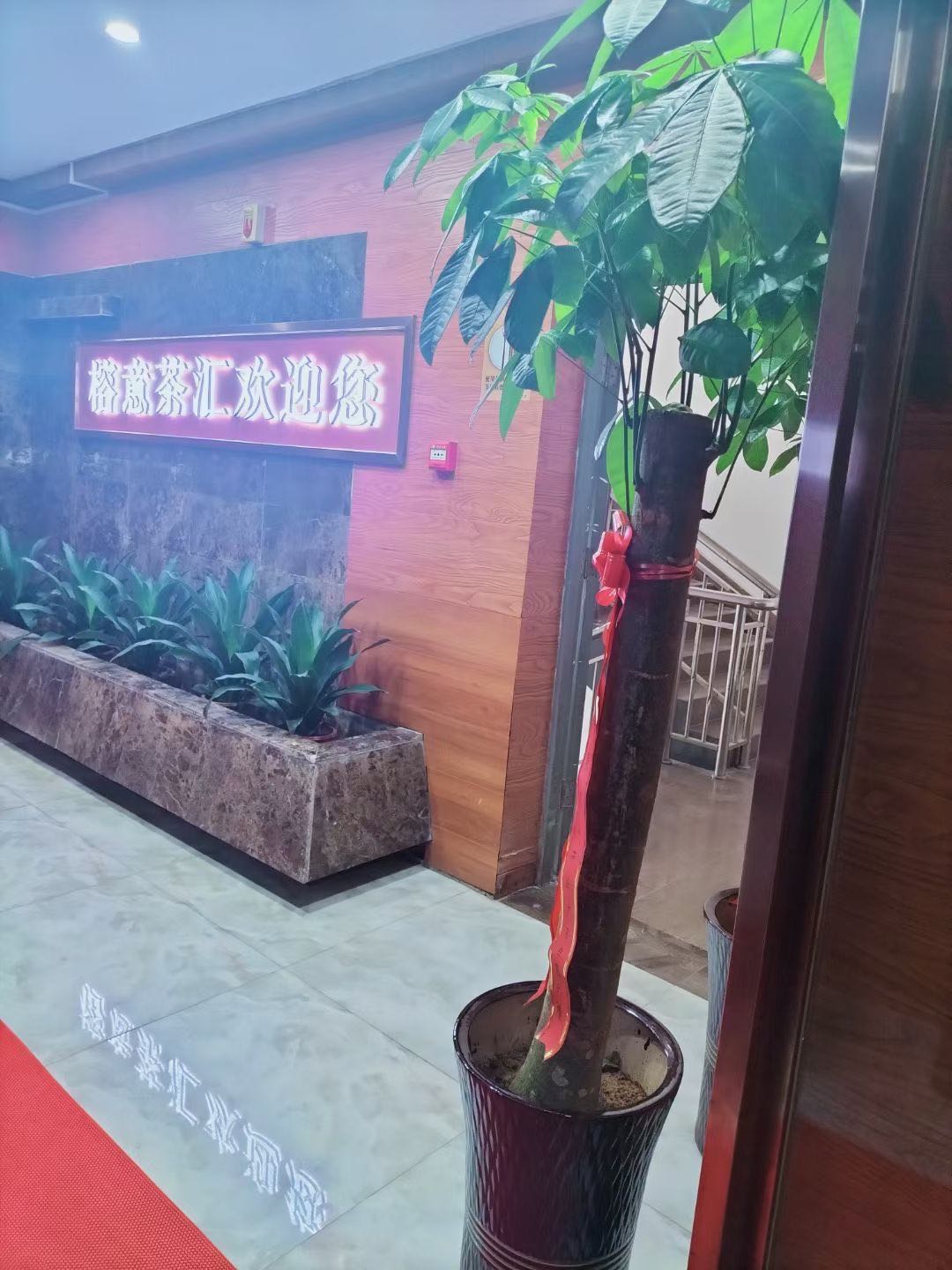 踔蜇意榕茶餐厅