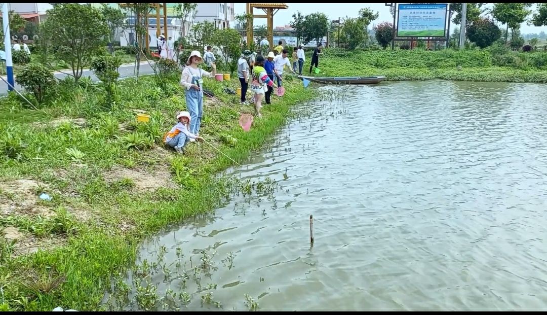 伍湖四海生态园