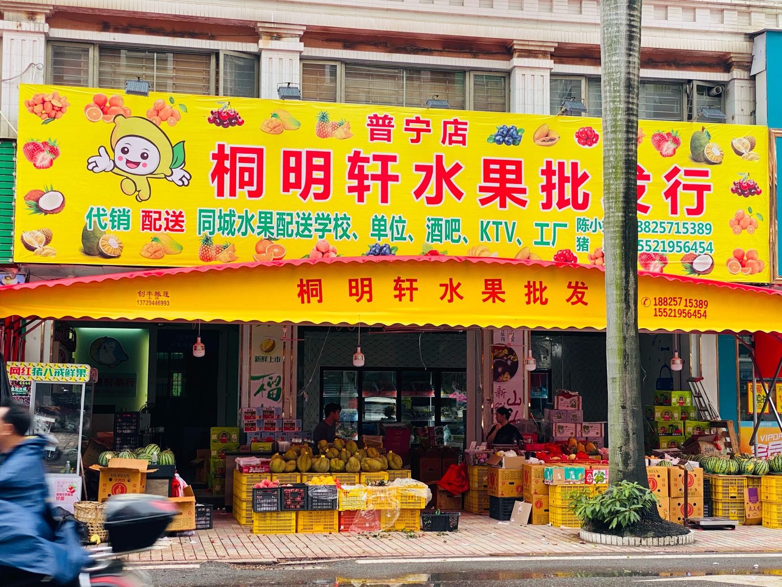 桐明欣水果批发行(流沙店)