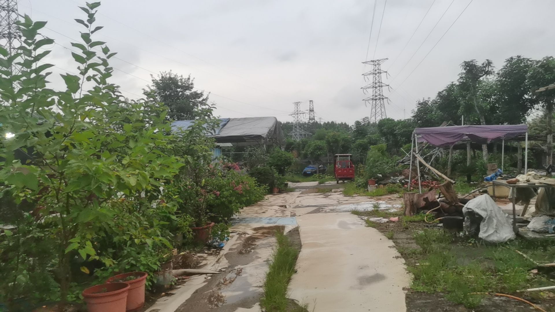 梧州市长洲区御花园花卉店