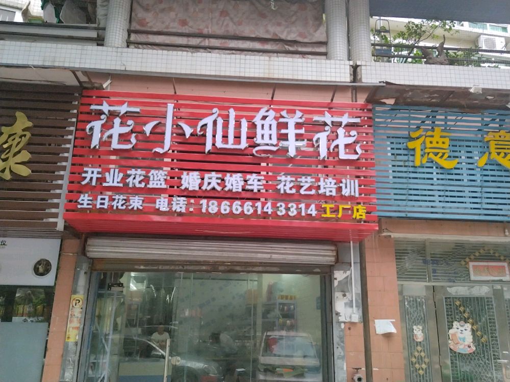 花小仙鲜花(工厂店)