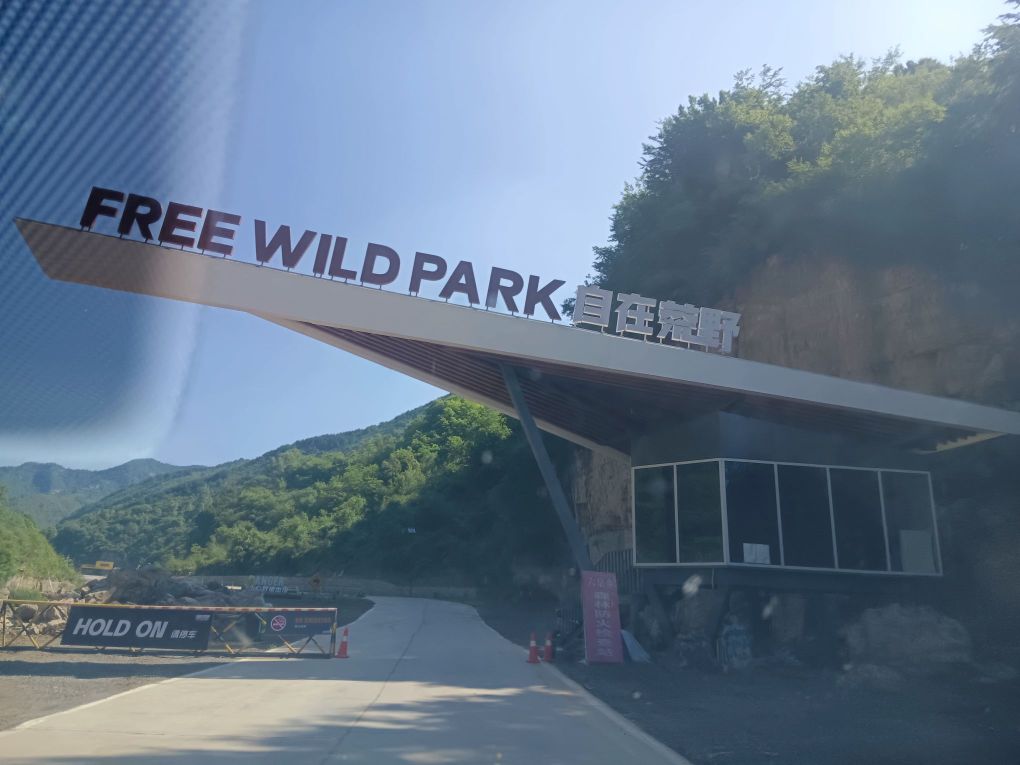 自在荒野
