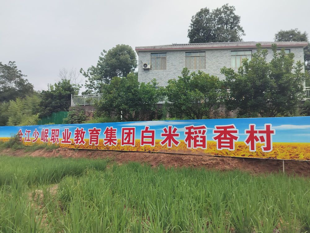 合江少岷职业教育集团白米稻香村