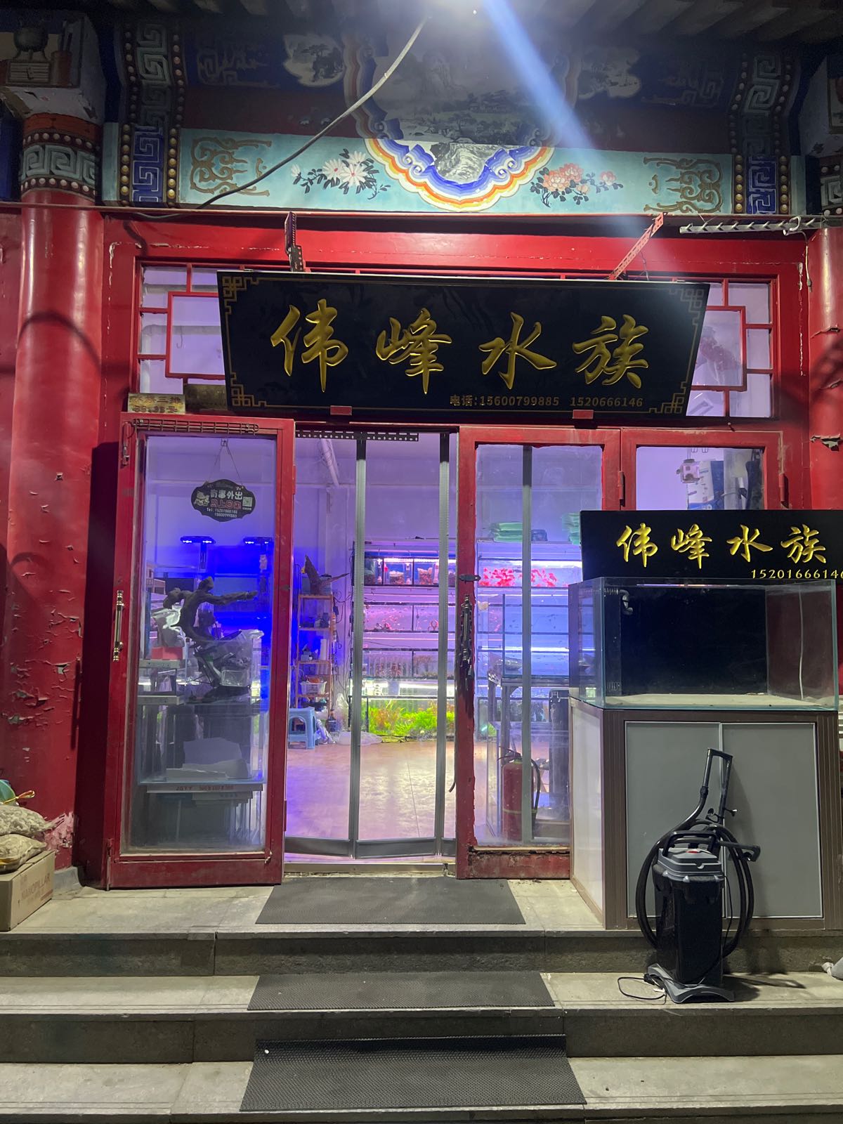 峰皓舟伟水族(望京店)