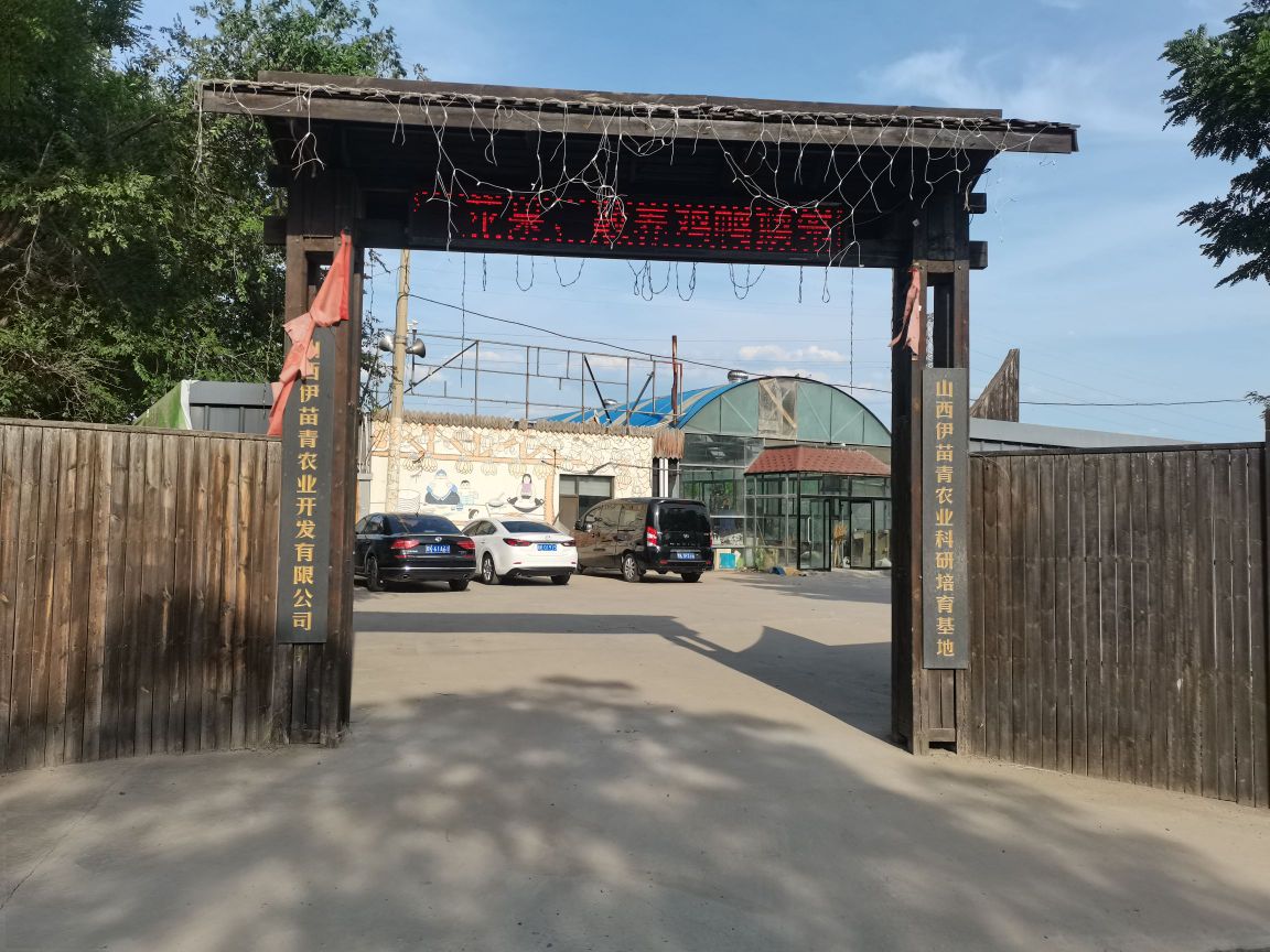 苗寨采摘园