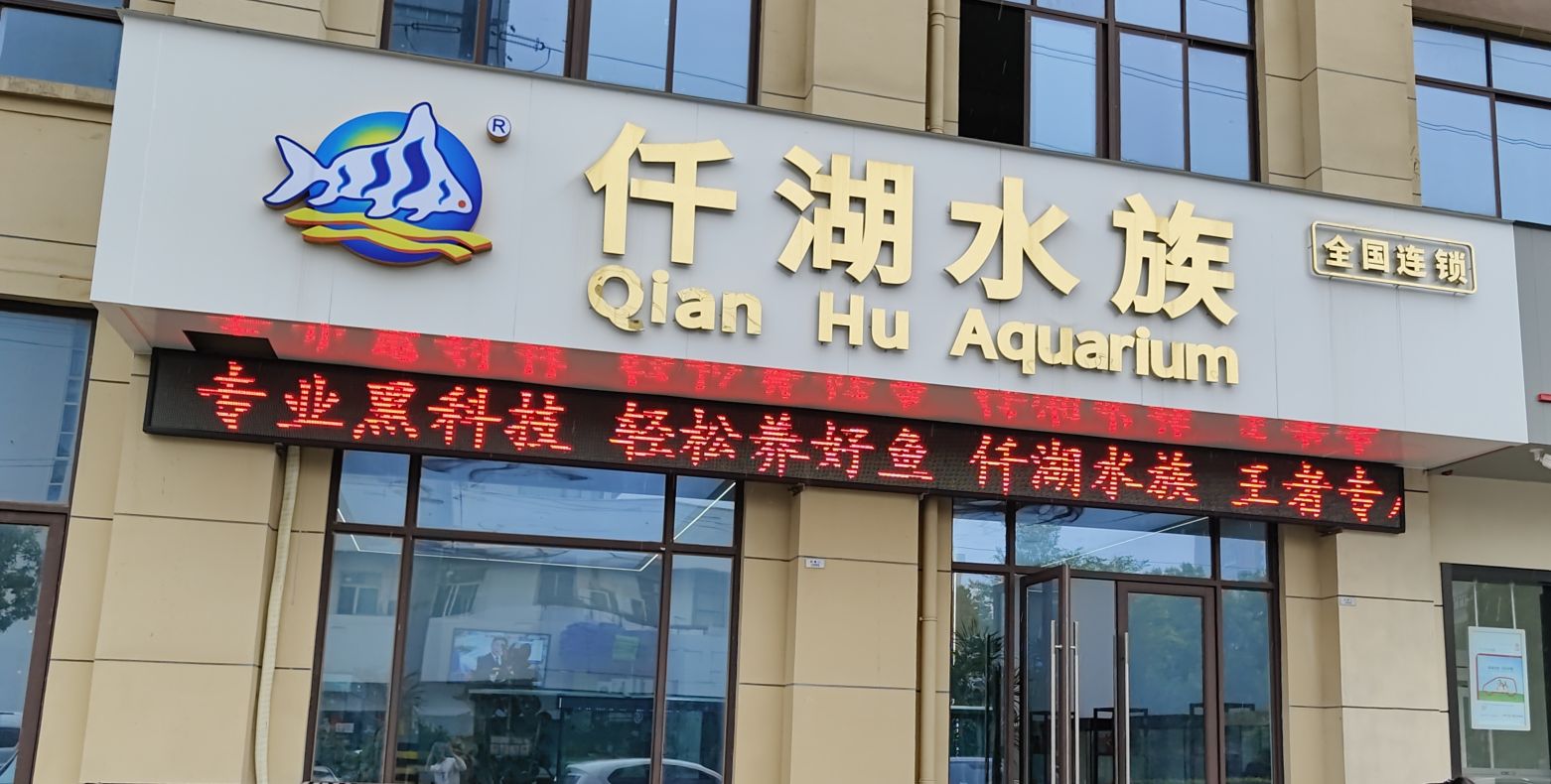 仟湖水族(丽都花园店)