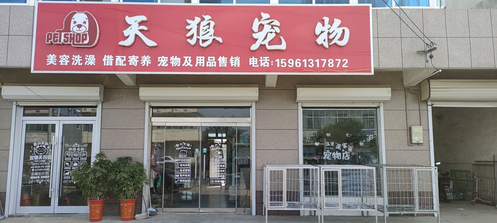 天狼宠物