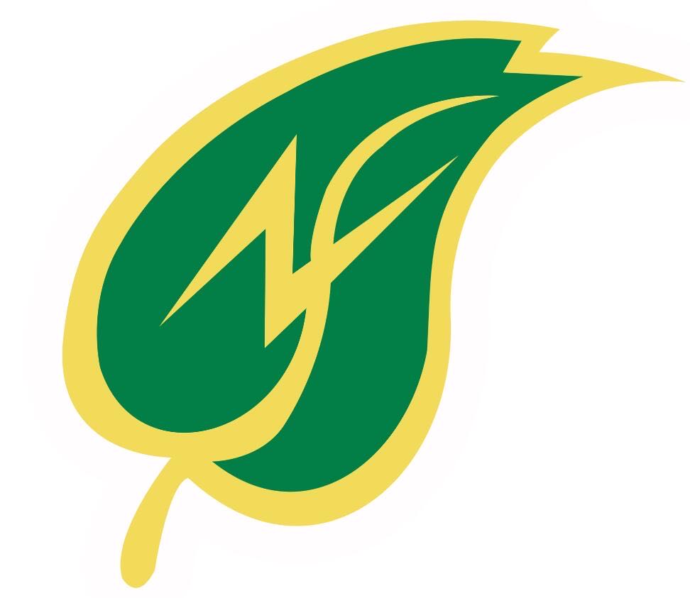 浙江申联环保集团有限公司