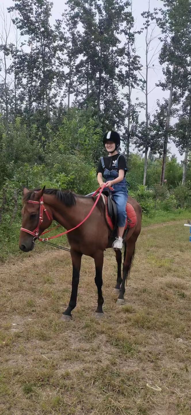 骑仕骏马场俱乐部