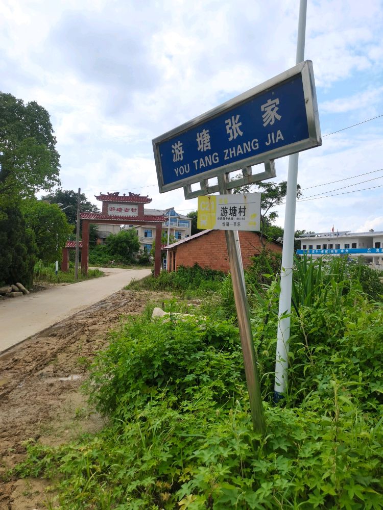游塘张家