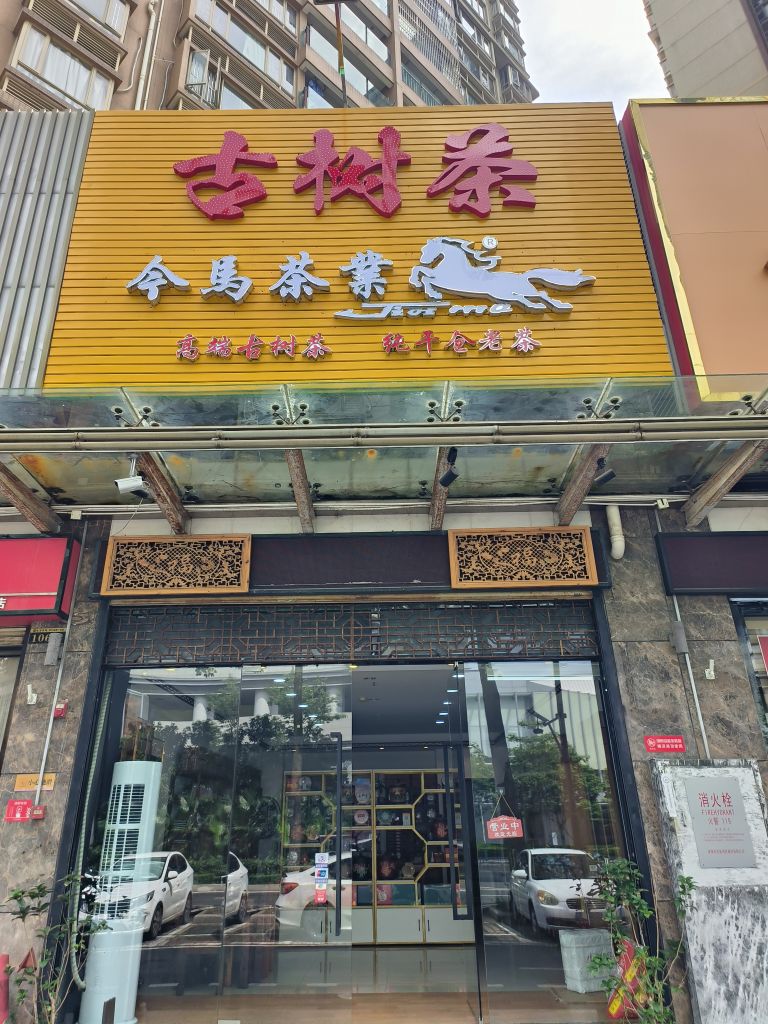 今马茶业古树茶