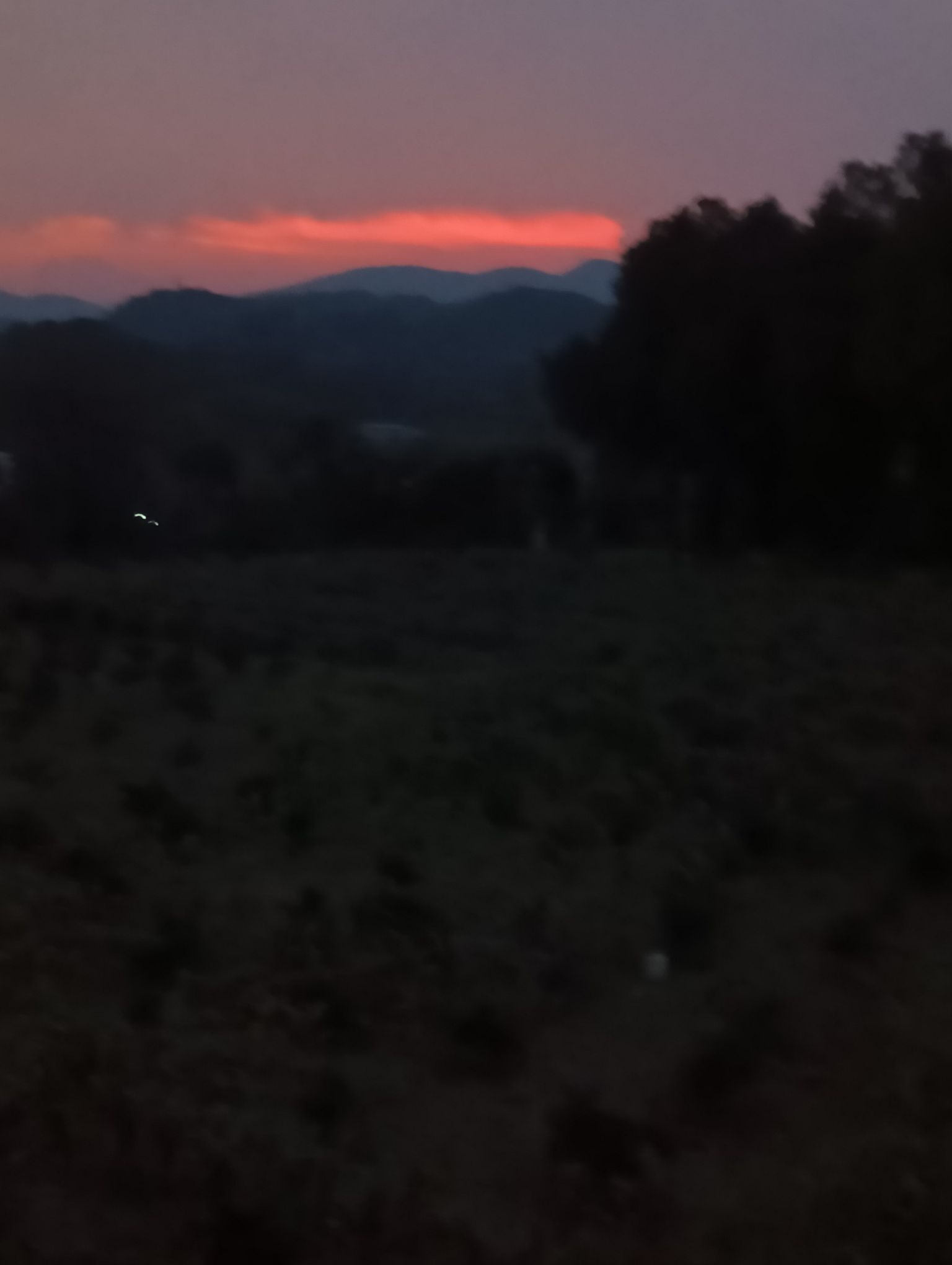 湖南新宁黄金牧场有限公司