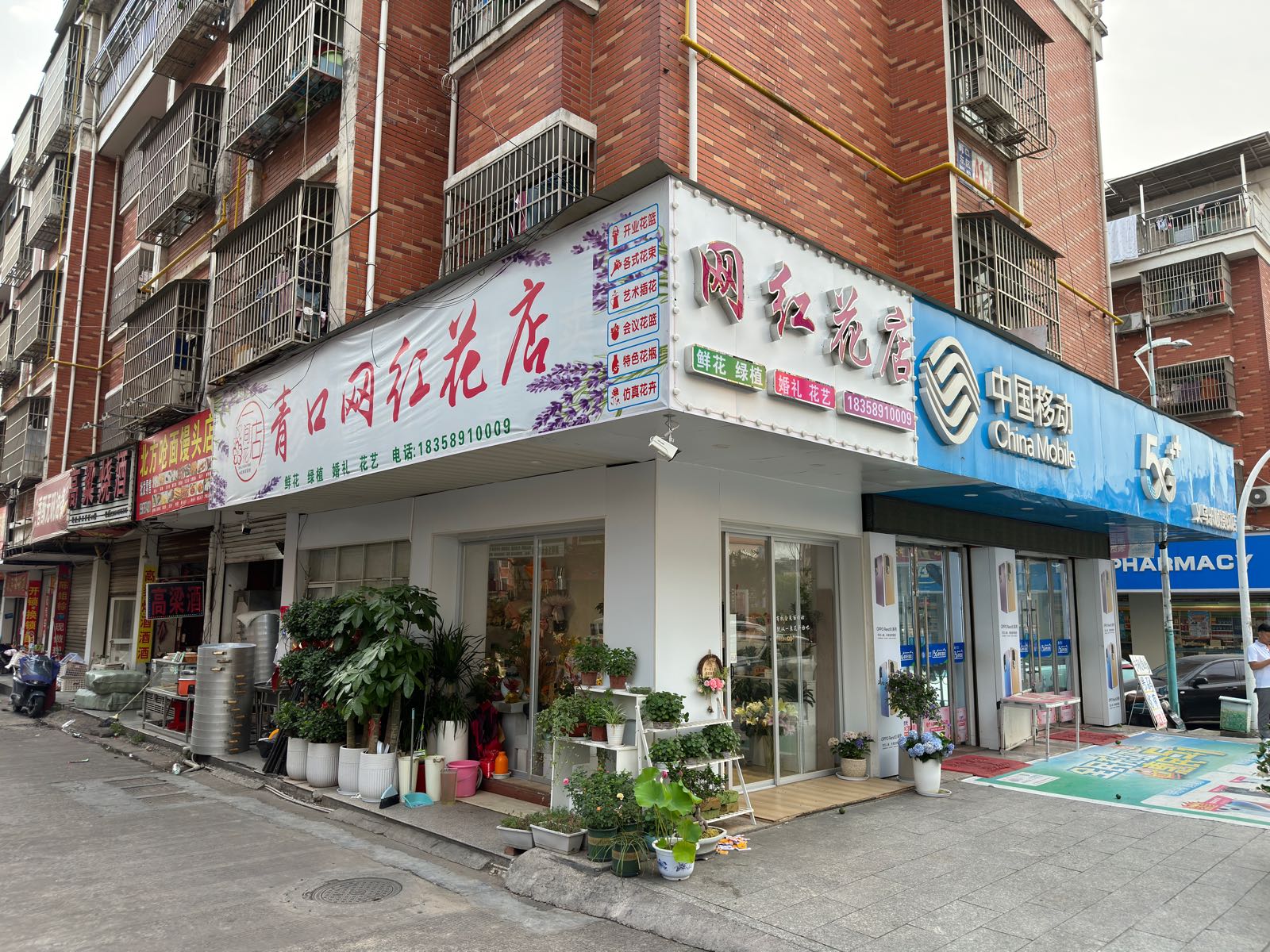 网红花店(宝龙城市广场清溪路店)
