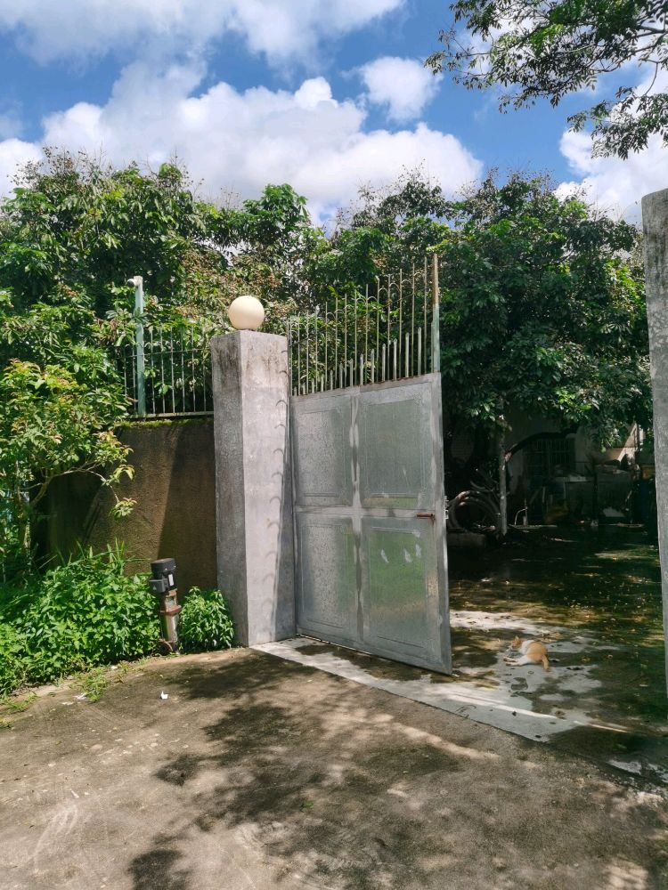 饶平县鸿林农庄