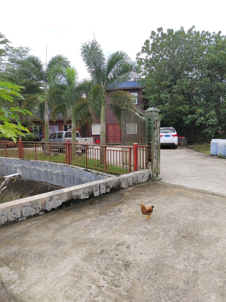 天瀚生态环保研究院水平流生态湿地研究基地