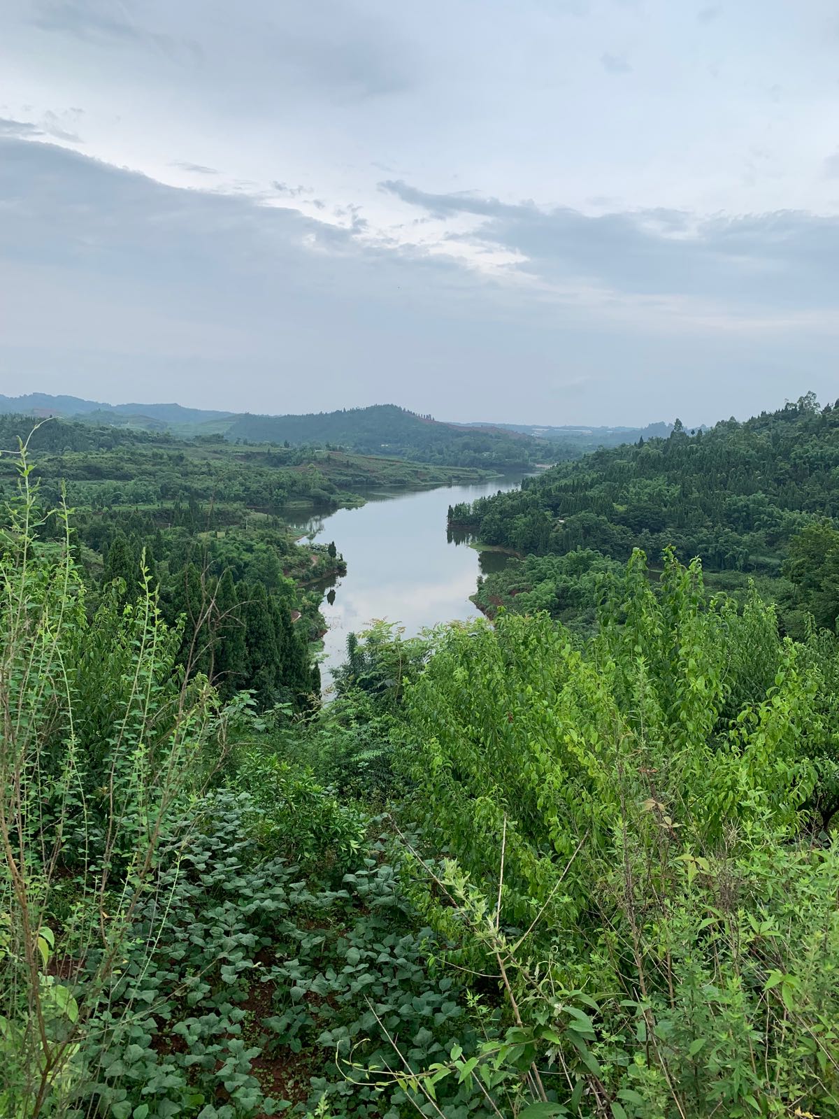 牛心寺水库