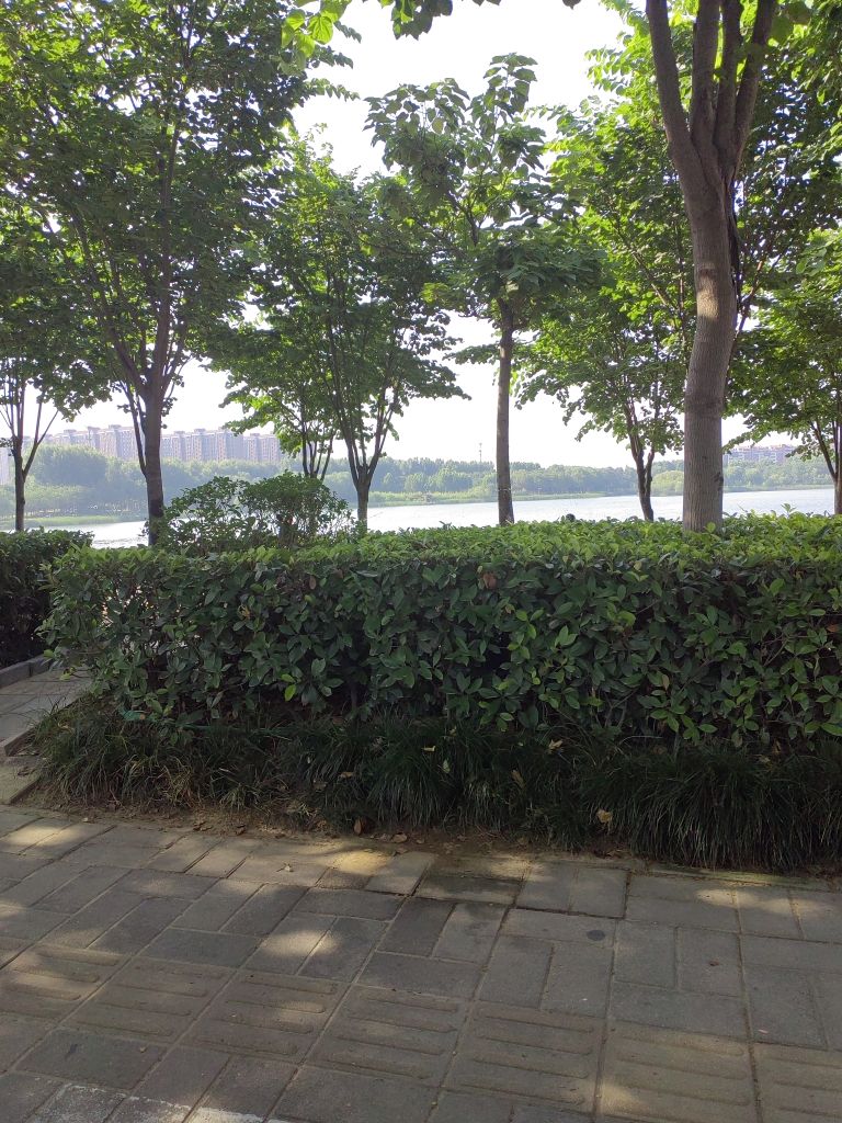 河南警察学院-西门