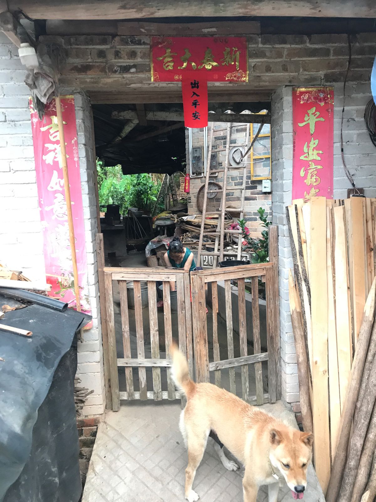 路凤村凤村屯308号