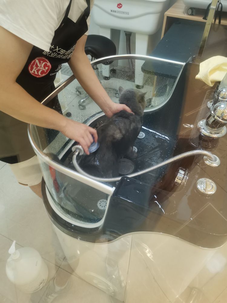 悦宠宠物生活馆