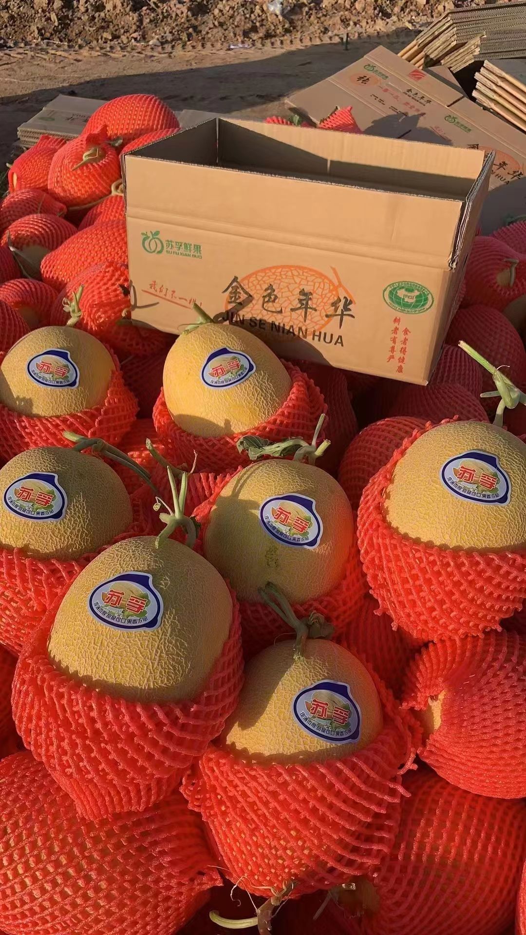 优多水果店