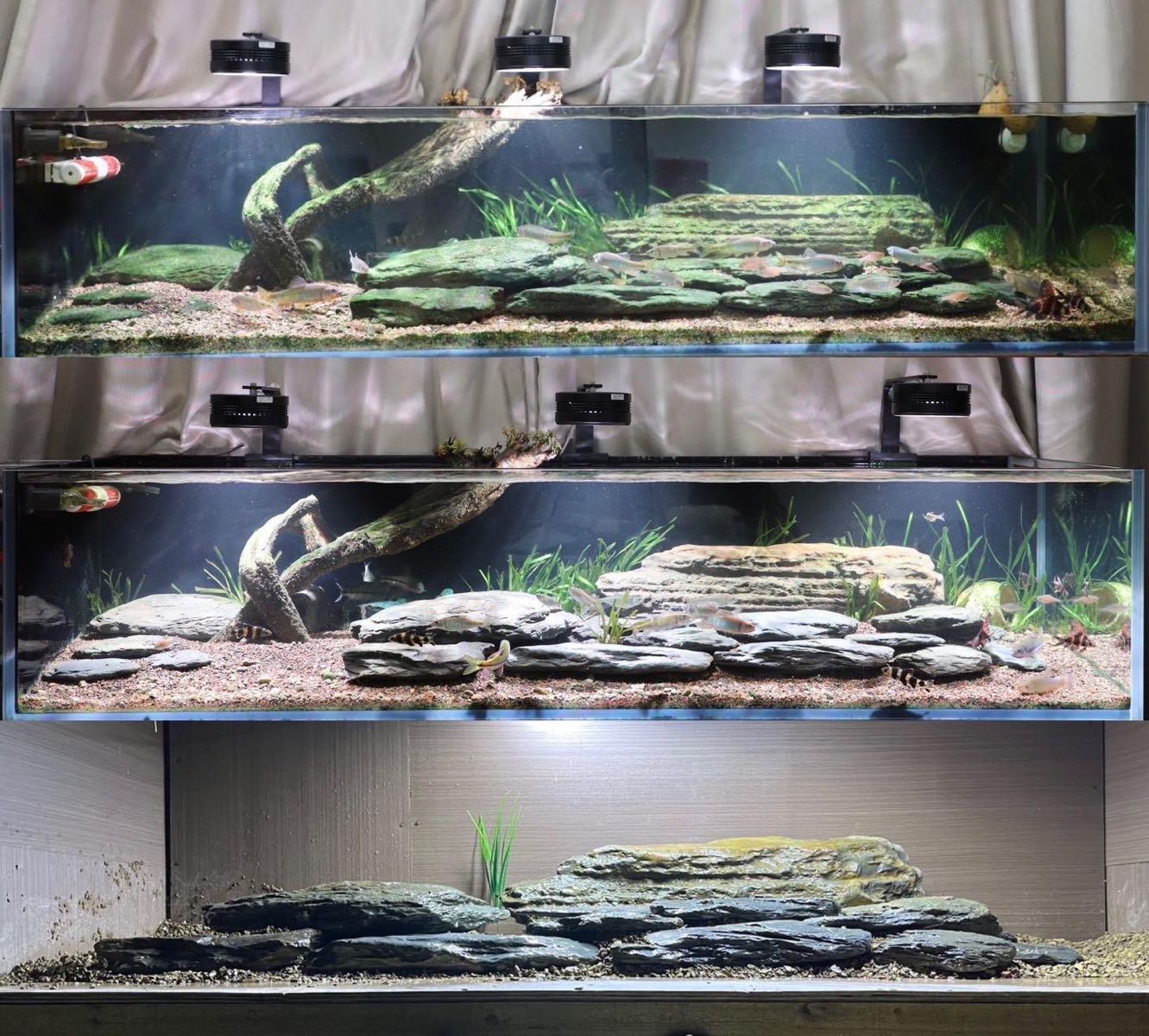 青山原升生态水族馆