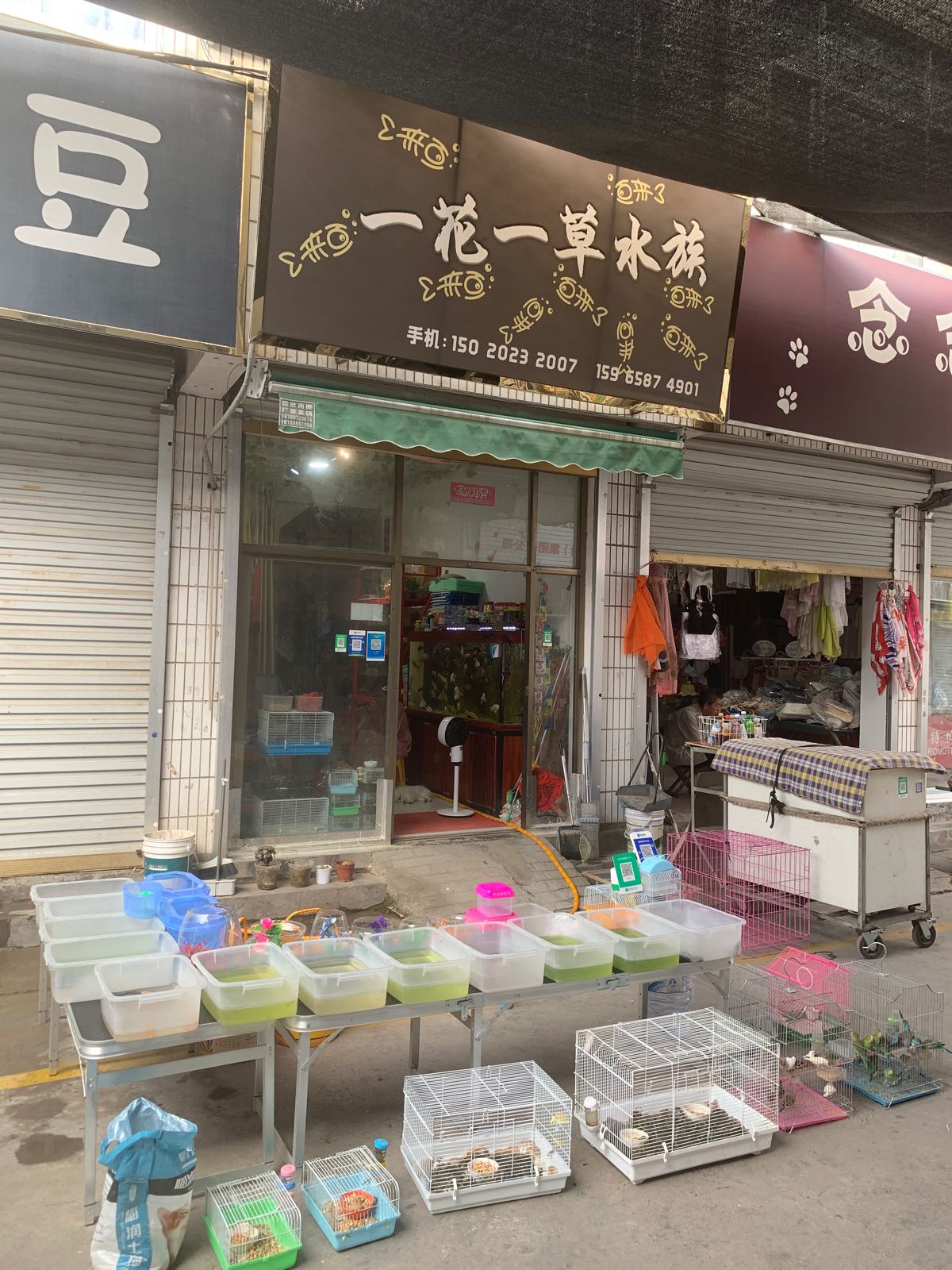 一花一草水族