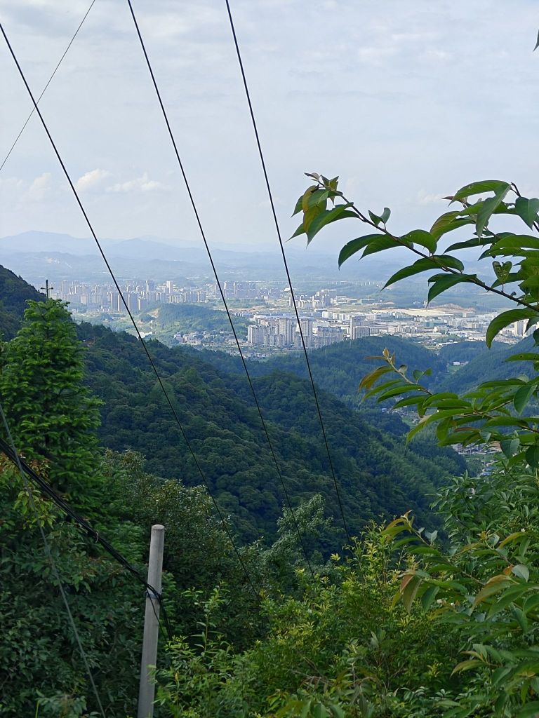 南山顶