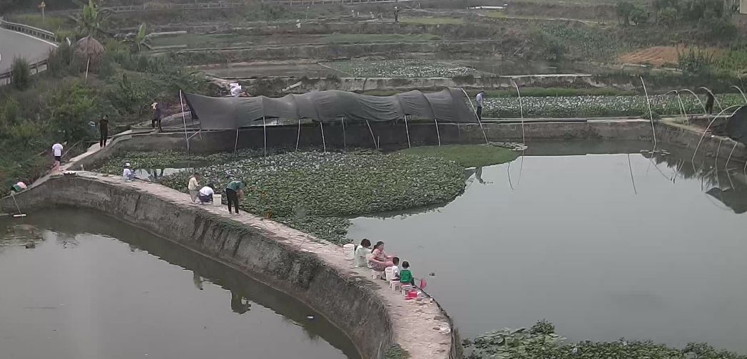 小龙虾放钓基地